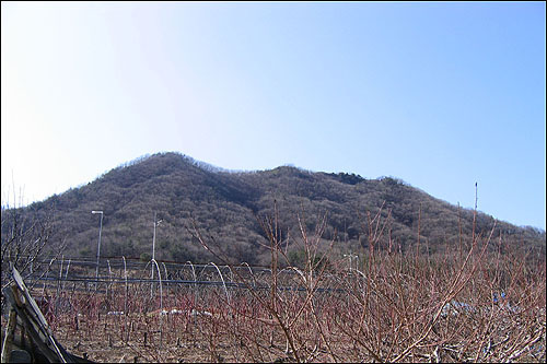 마을의 남쪽에 있는 오도산(336m) 